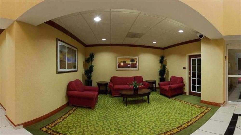 Holiday Inn Express St. Petersburg North / I-275 By Ihg Zewnętrze zdjęcie